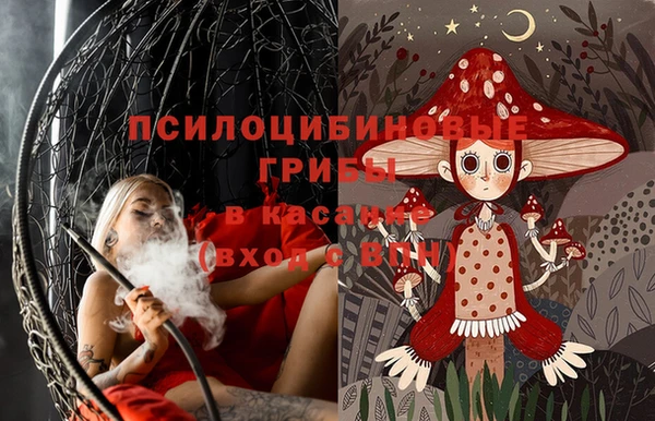 прущий лед Горно-Алтайск