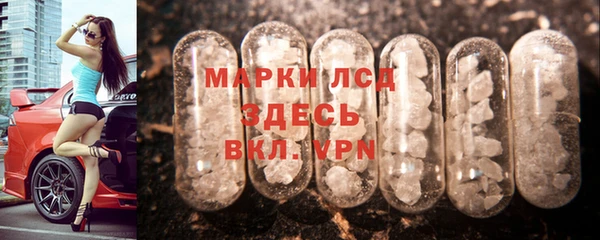 индика Горняк