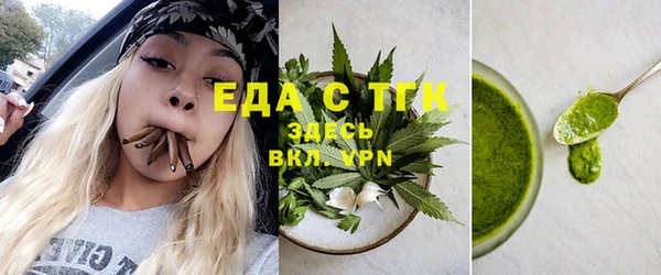 индика Горняк