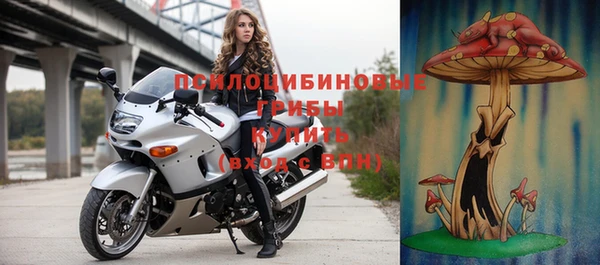 индика Горняк