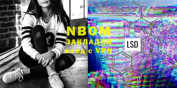 индика Горняк