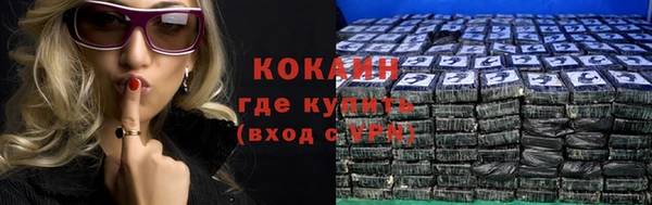 apvp Горнозаводск