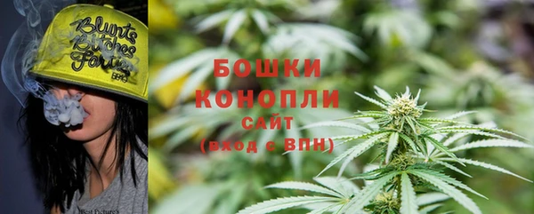 apvp Горнозаводск
